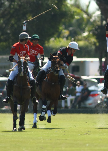 polo teams zorzal audi polo gold cup polo magazine polo photos alex pacheco 1