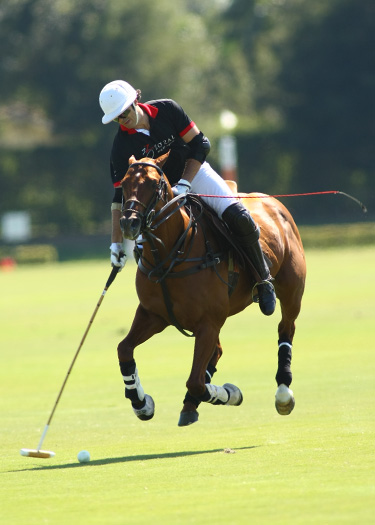 polo teams zorzal audi polo gold cup polo magazine polo photos alex pacheco 4