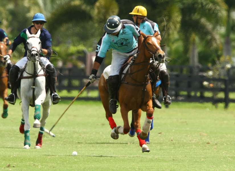 Piaget Memorial Polo tournament polo mag grand champions polo club