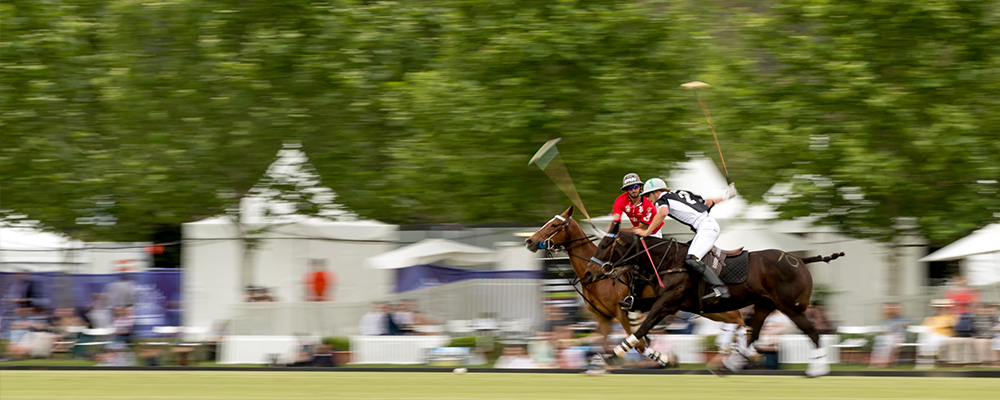 New Zealand vs Chile 9 – 2 WPC
