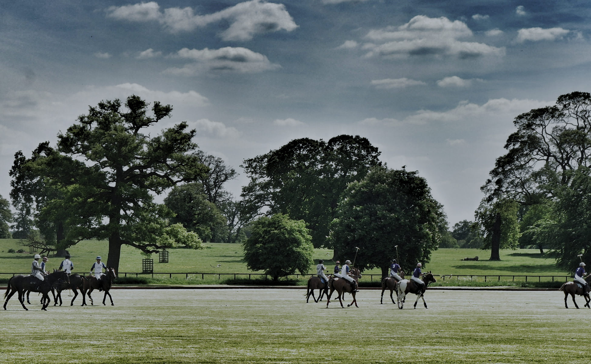 oxford-polo-bg1